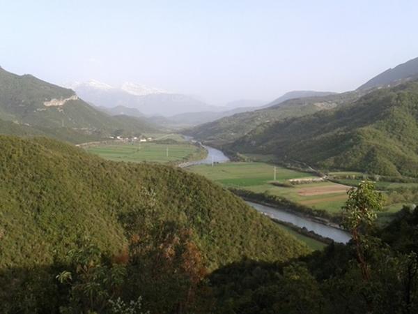 gruene Landschaften