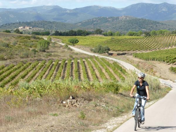 Cyclist in the fields