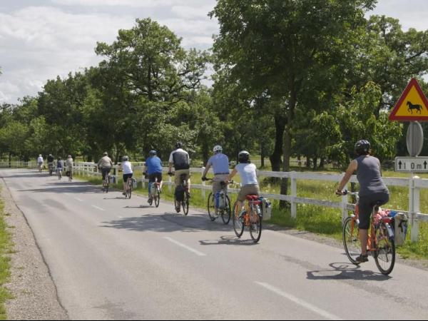 der Smaragdroute entlang - Cycling Emerald Tour Slovenia