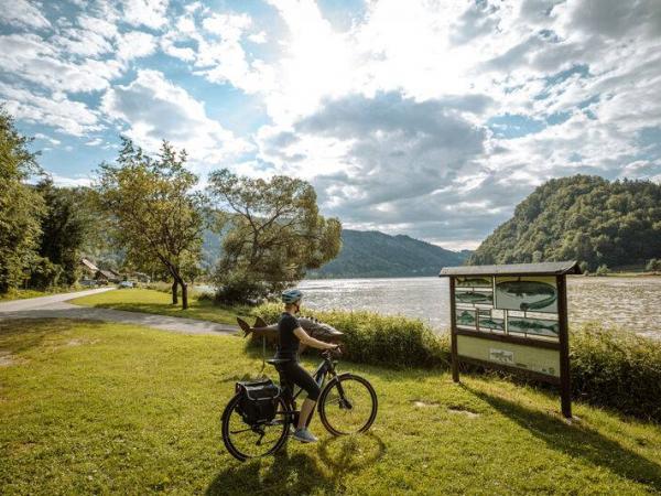 cyclist on the danube bike trail in the danube bend