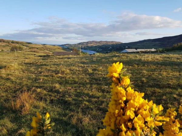 Irish landscapes