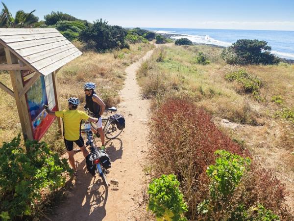 Cyclists looking at a map