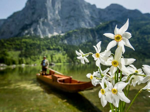 Boat on a mountain lake