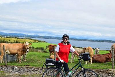 Cyclist with cows