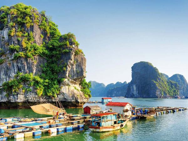 Swimming Fisching Village in the Halong Bay