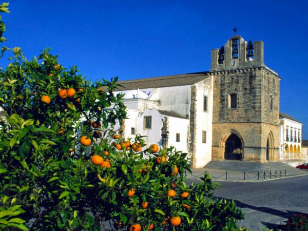 Cathedral Faro