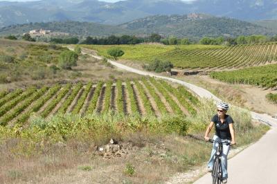 Cyclist in the fields