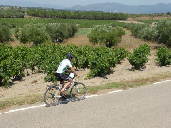 Cyclists in the hinterland