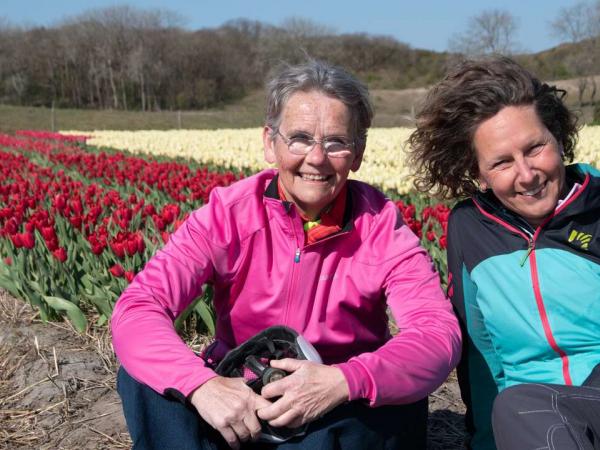 cyclists in front of a tulip field