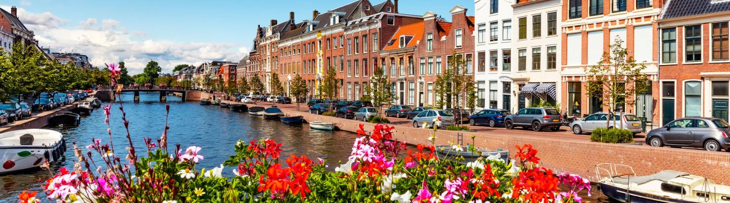 Scenic summer view of the Old Town in Haarlem