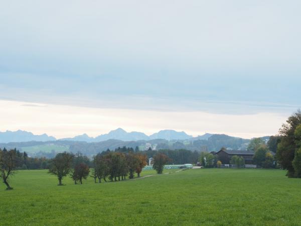 Seenland - Grabensee