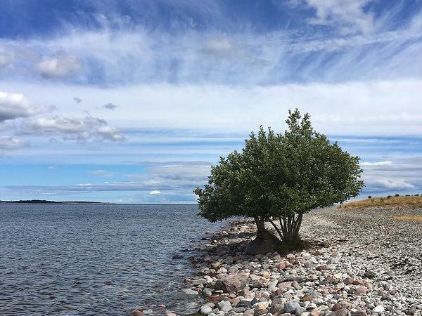 Gotland beach