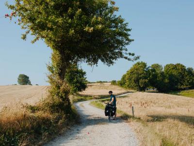 Cyclist Denmark