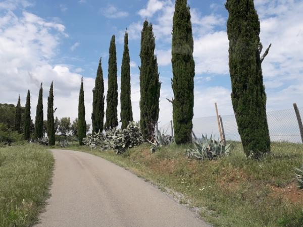 Tuscany landscape