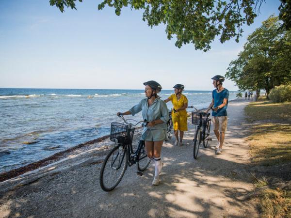 Cyclists on a beach