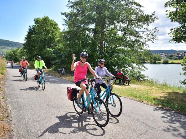 Cyclists on the moselle cycle path