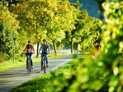 Moselle Cycle Path
