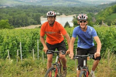 Bike tour in the Sancerre vineyards