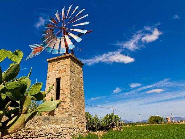 windmill