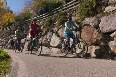 Cycle path Vinschgau