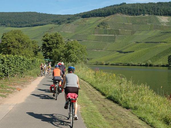 Cycling along the Moselle