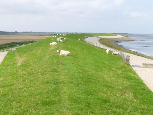 Dijk near Harlingen