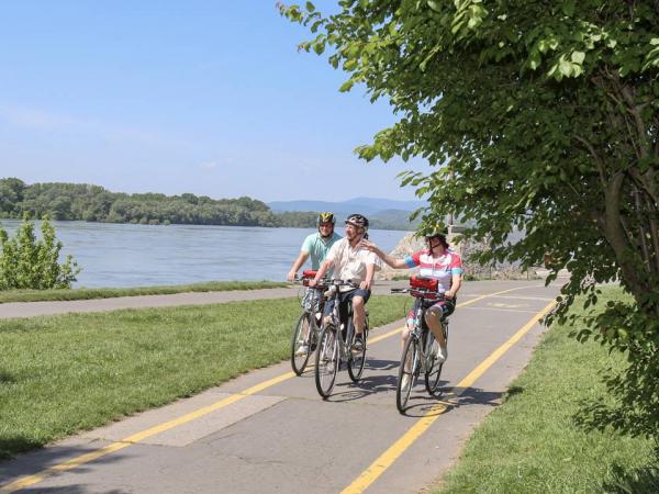 Cyclist in the Danube bend