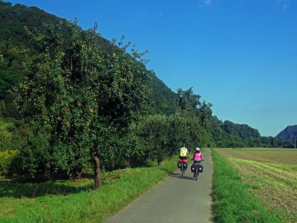 Rhine Cycle Path between Andernach and Bonn