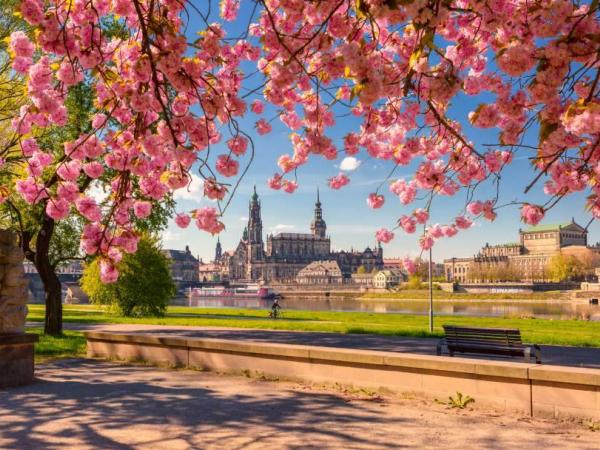 Dresden Frhling/spring