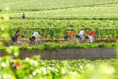 cyclists in the Burgundy