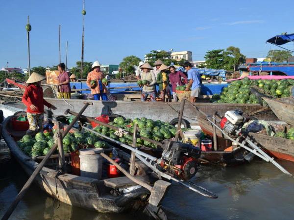 Swimming Market