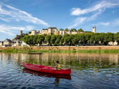 Chinon with Vienne fortress