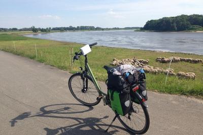 Fahrrad-Elberadweg