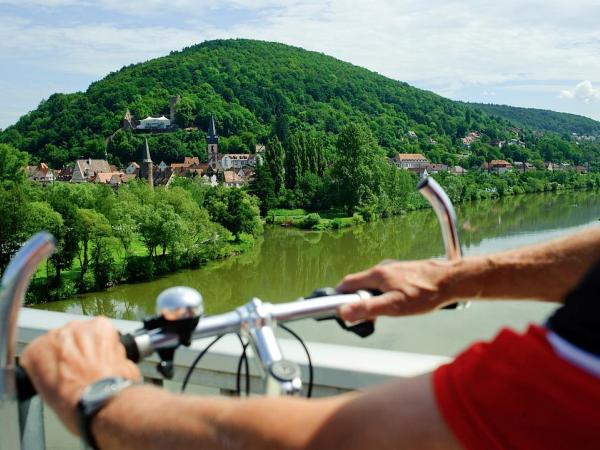 Radfahrer bei Gemuenden am Main