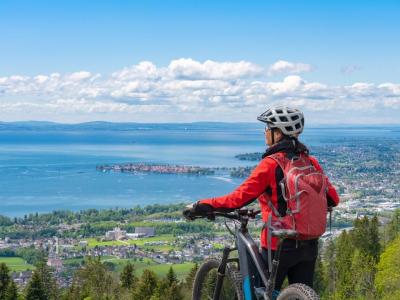 Panoramic View over Lake Constance