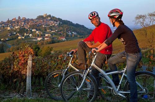 Radtour in den Weinbergen rund um Sancerre