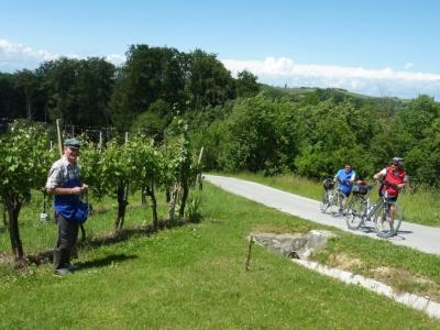 cyclists