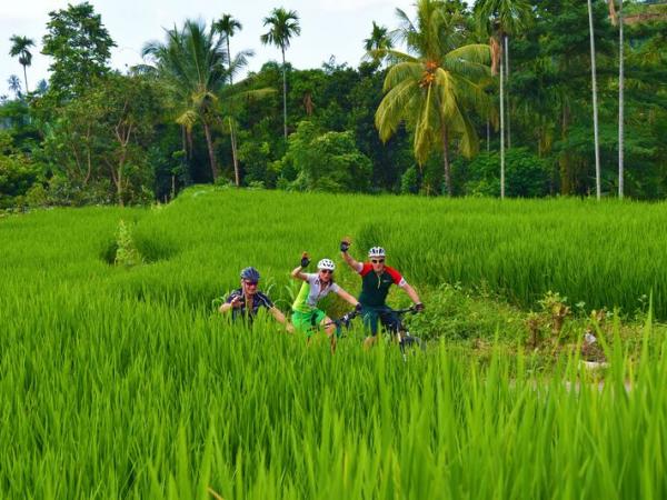 Cyclists in the rainforest of Sumbawa