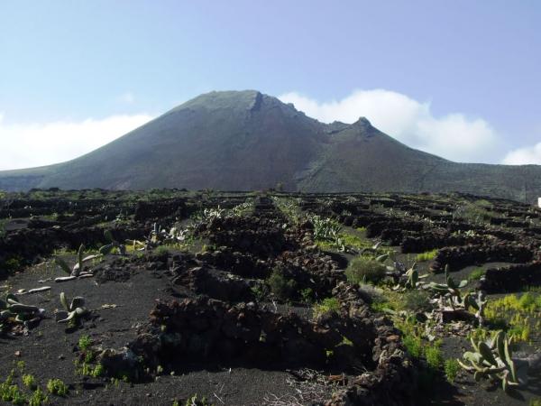 Vulcanic landscape