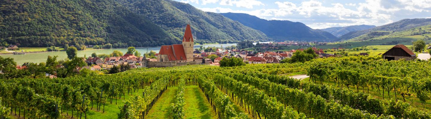 Wachau Valley Weissenkirchen