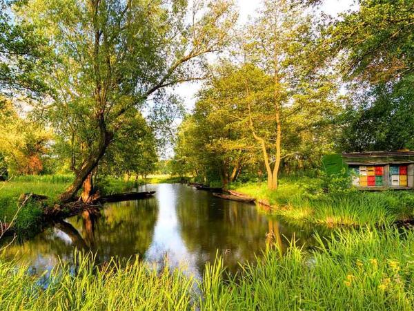 Spreewald Impressionen