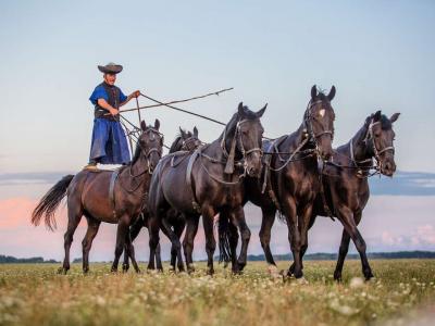 Puszta horse show