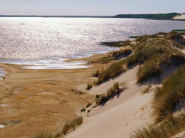 Coast in Slowinski Nationalpark